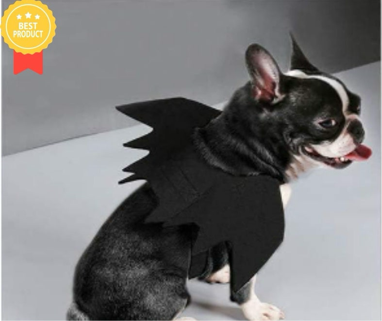 Bat Wings Costume for Pets