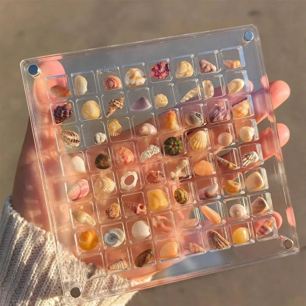 SeaShell Display Case (36 Grid)