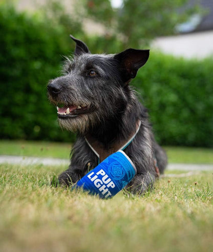 Pup Light and Pups Blue Rubbin - Funny Dog Toys