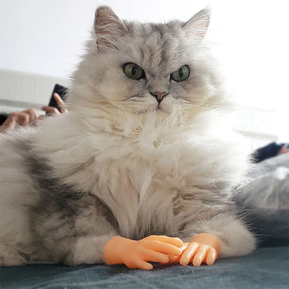 Mini hands for cats