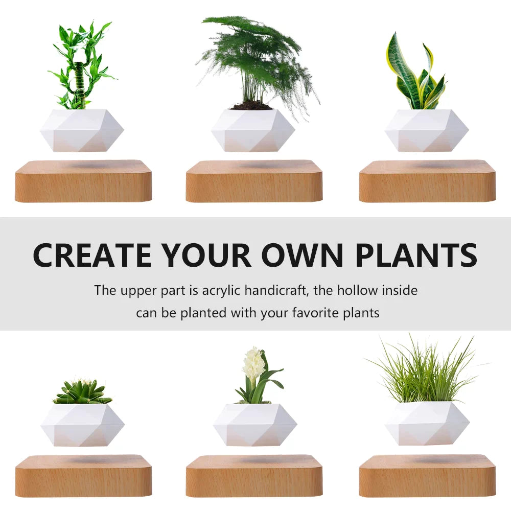 Levitation Plants Pot Table Plants Display