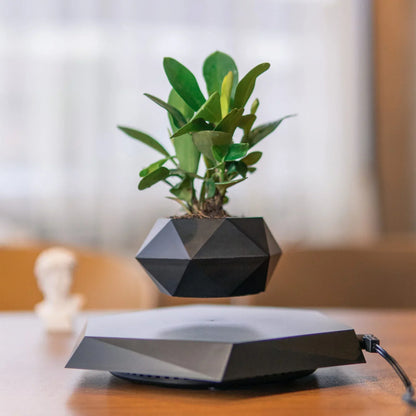 Levitation Plants Pot Table Plants Display