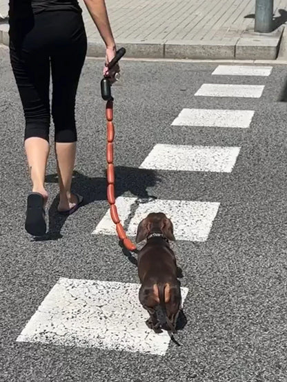 Dog String of Large Sausage Leash