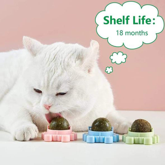 360° Catnip Ball Toy™