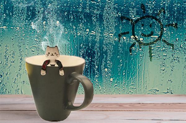 Cat Spoon