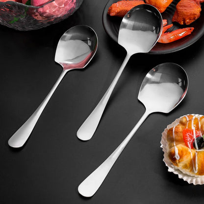 Large Stainless Steel Spoon