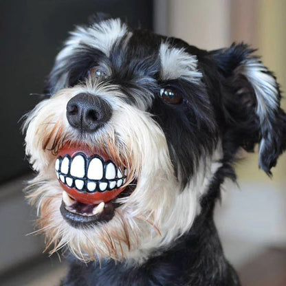 Smiling Dog Ball